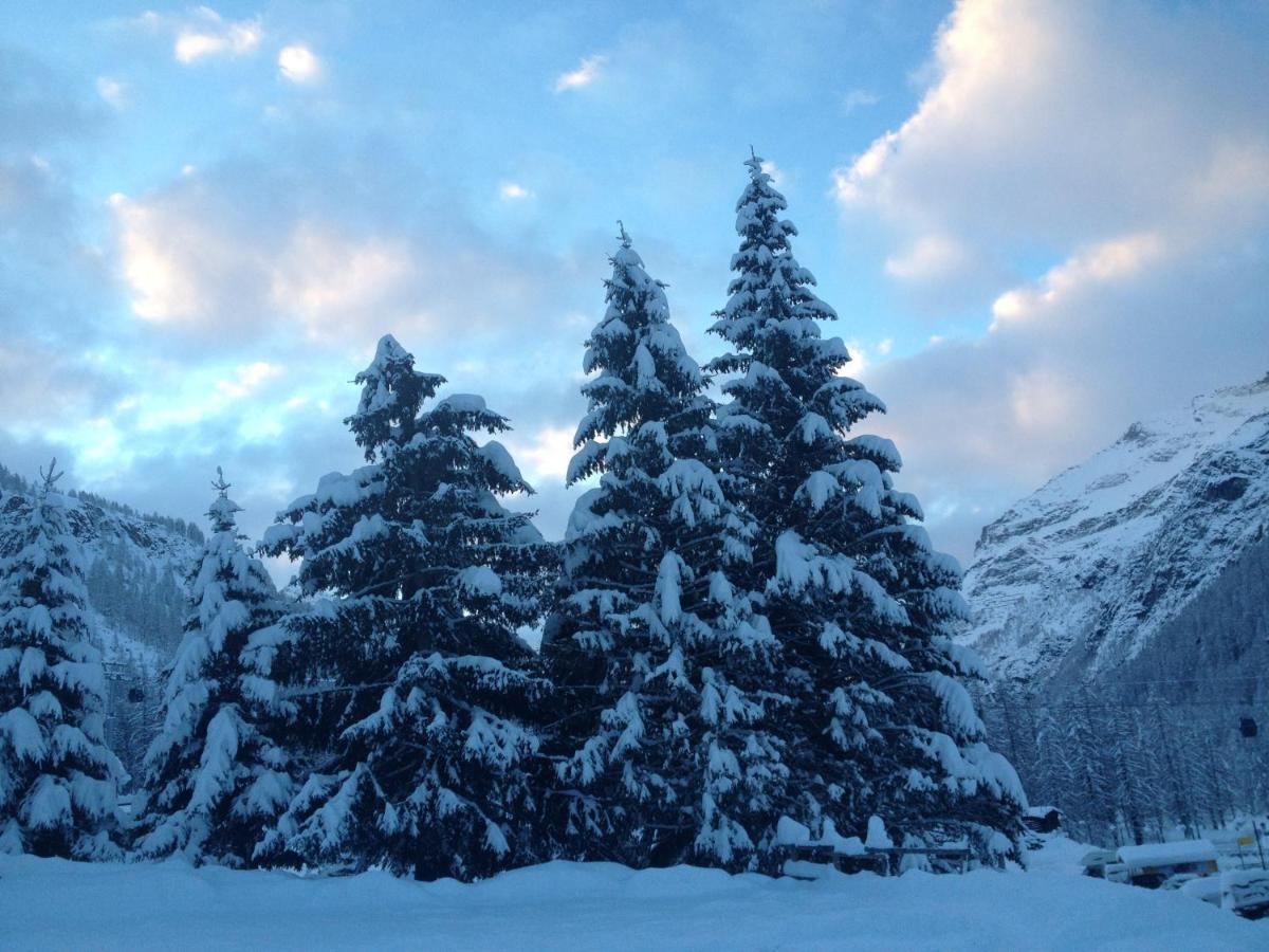 Hotel Nordend Gressoney-la-Trinité Esterno foto